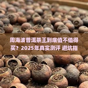 周海波普洱茶王