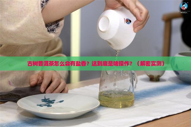 古树普洱茶为什么有盐香