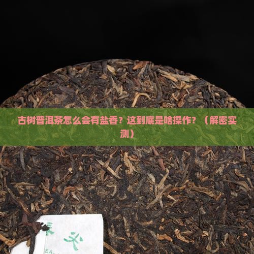 古树普洱茶为什么有盐香