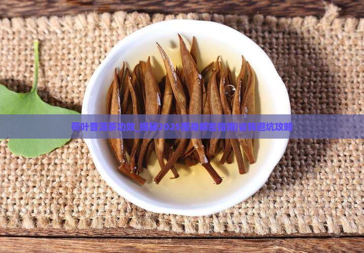 荷叶普洱茶功效