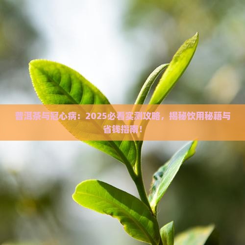 冠心病能喝普洱茶