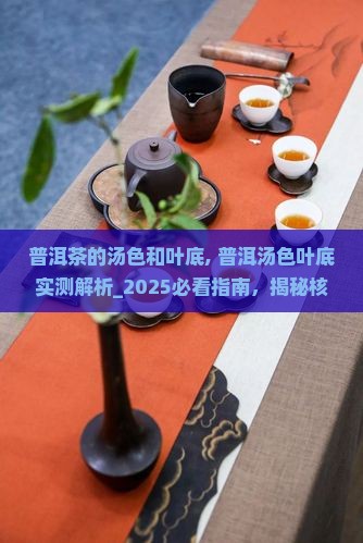 普洱茶的汤色和叶底