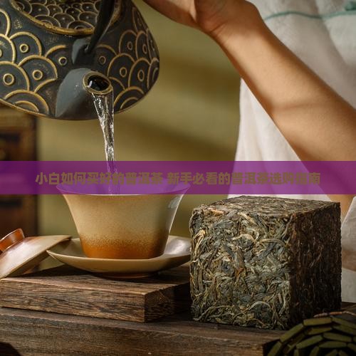 小白如何买普洱茶好的
