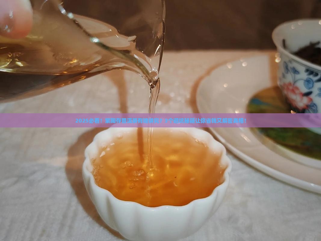紫陶可以存普洱茶吗为什么