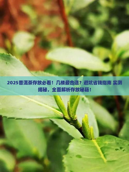 普洱茶适合存放几楼