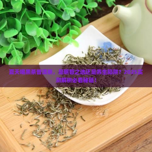 夏天可以喝黑茶普洱茶吗