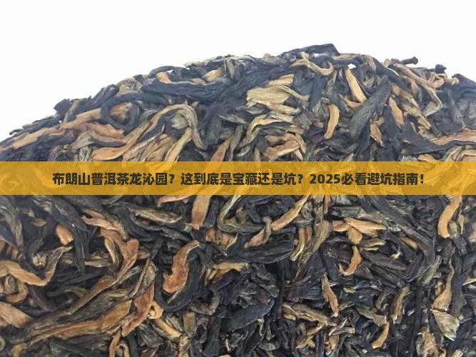 布朗山普洱茶龙沁园