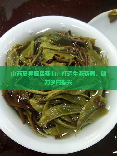 山西夏县厚民茶山
