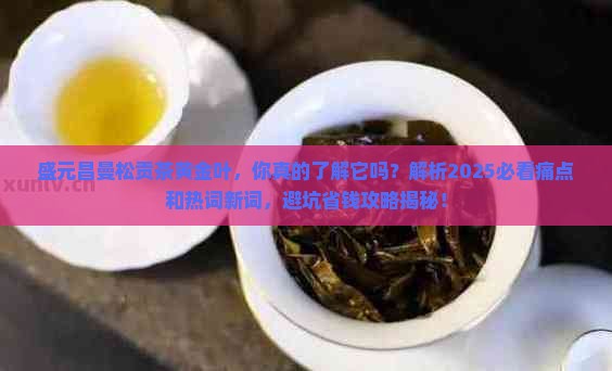 盛元昌曼松贡茶黄金叶