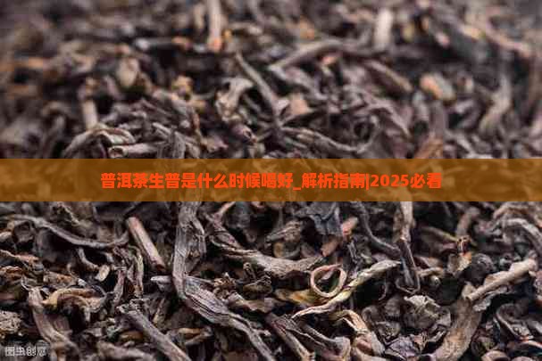 普洱茶生普是什么时候喝好