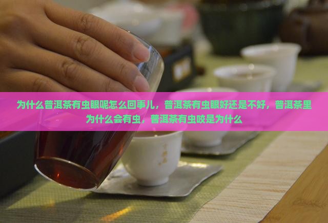 为什么普洱茶有虫眼呢怎么回事