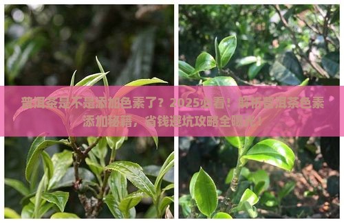 普洱茶是不是添加色素了