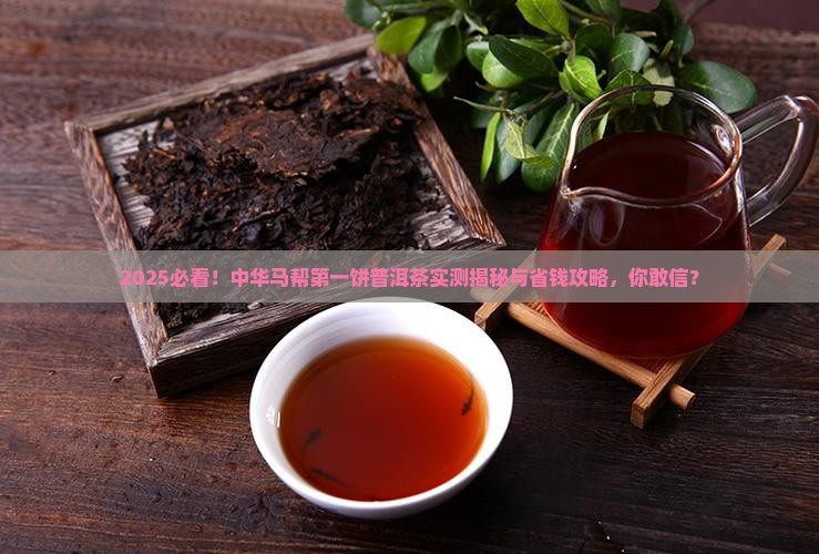 中华马帮第一饼普洱茶