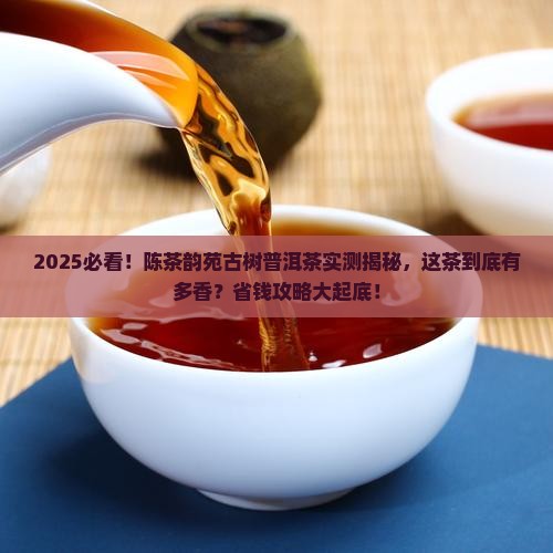 陈茶韵苑古树普洱茶