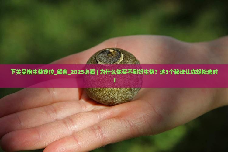 下关品格生茶定位