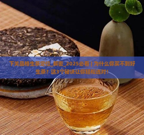 下关品格生茶定位