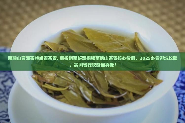 南糯山普洱茶特点看茶青