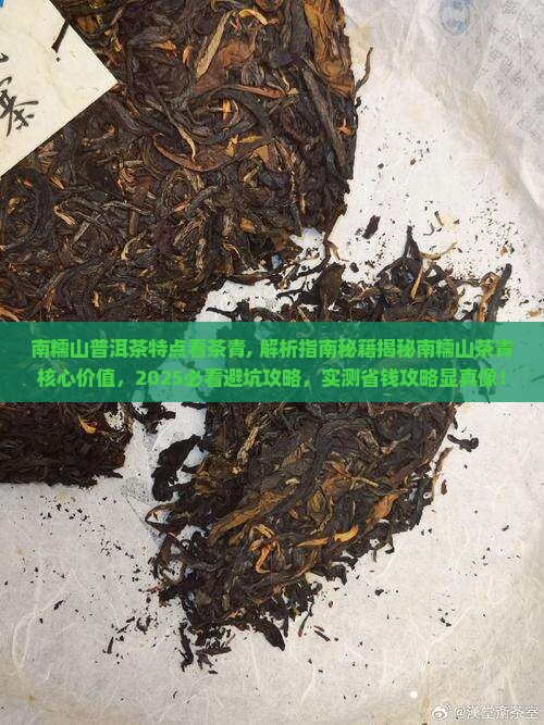 南糯山普洱茶特点看茶青