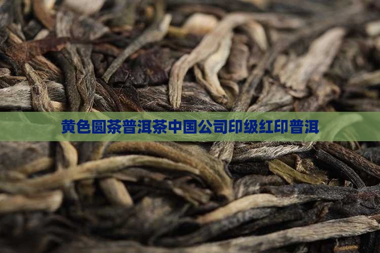 用黄色纸包的圆型普洱茶