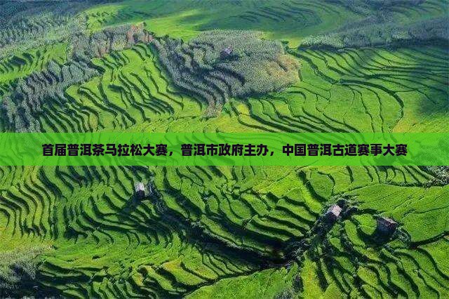 首届普洱茶马拉松大赛