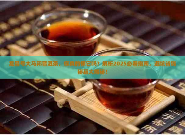 龙昌号大马邦普洱茶