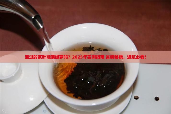 泡过的茶叶可以放绿萝里吗