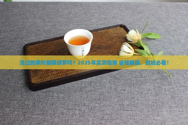 泡过的茶叶可以放绿萝里吗