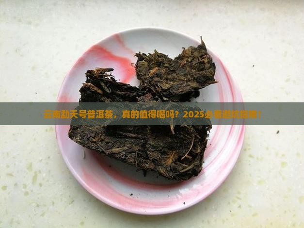 云南勐天号普洱茶
