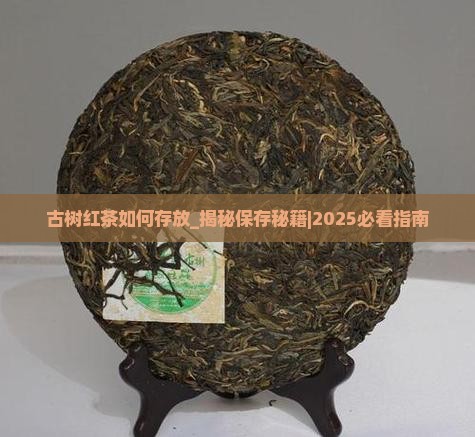 古树红茶如何存放