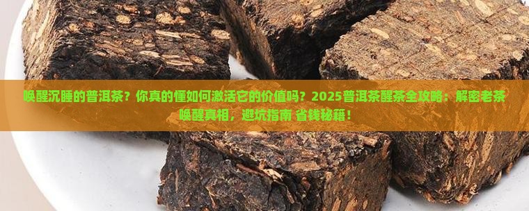 唤醒沉睡的普洱茶
