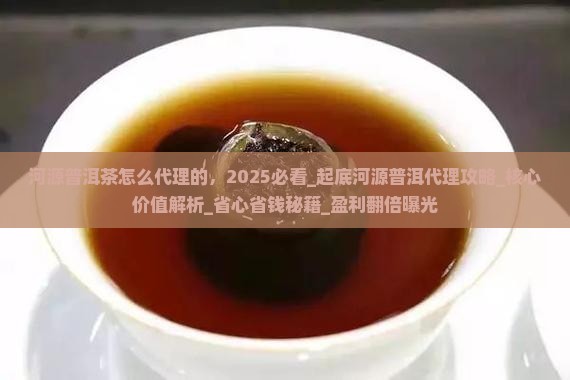 河源普洱茶怎么代理的