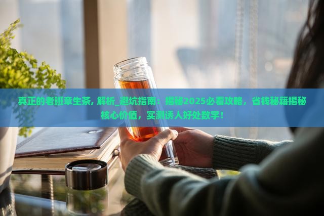 真正的老班章生茶