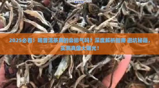喝普洱茶排气吗