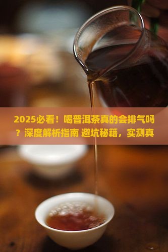 喝普洱茶排气吗