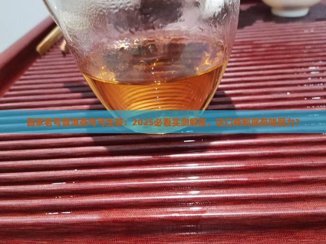 昌家老号普洱茶弯弓生茶