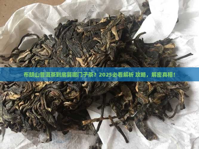 布朗山普洱茶属于哪种茶
