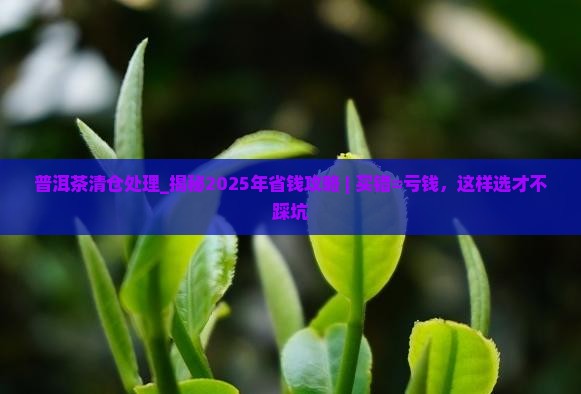 普洱茶清仓处理