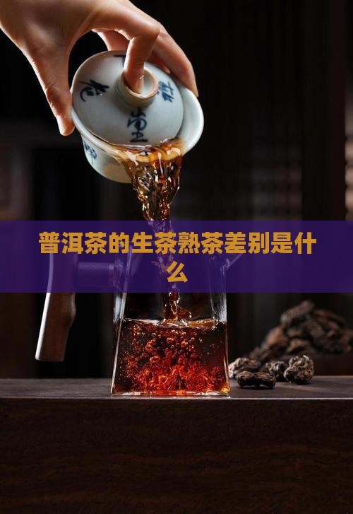 普洱茶的生茶熟茶差别是什么