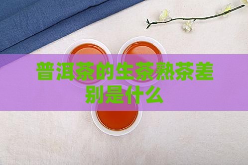 普洱茶的生茶熟茶差别是什么