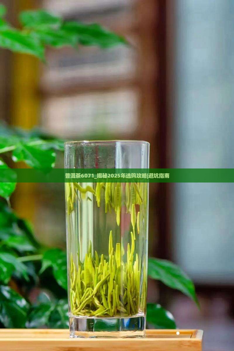 普洱茶6071