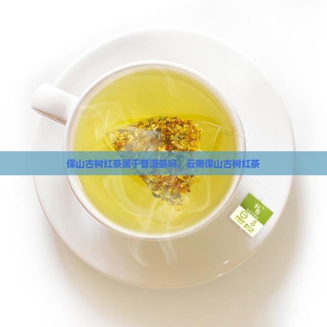 保山古树红茶属于普洱茶吗