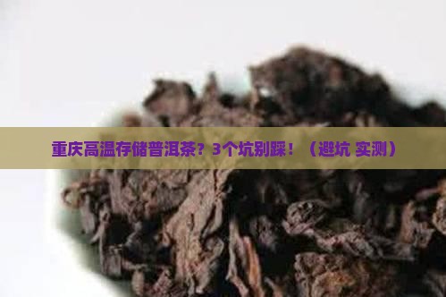 重庆高温存储普洱茶