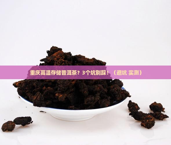 重庆高温存储普洱茶