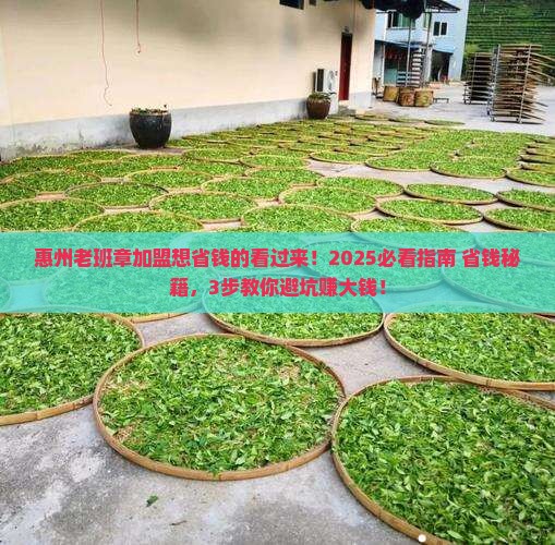 惠州老班章招商加盟