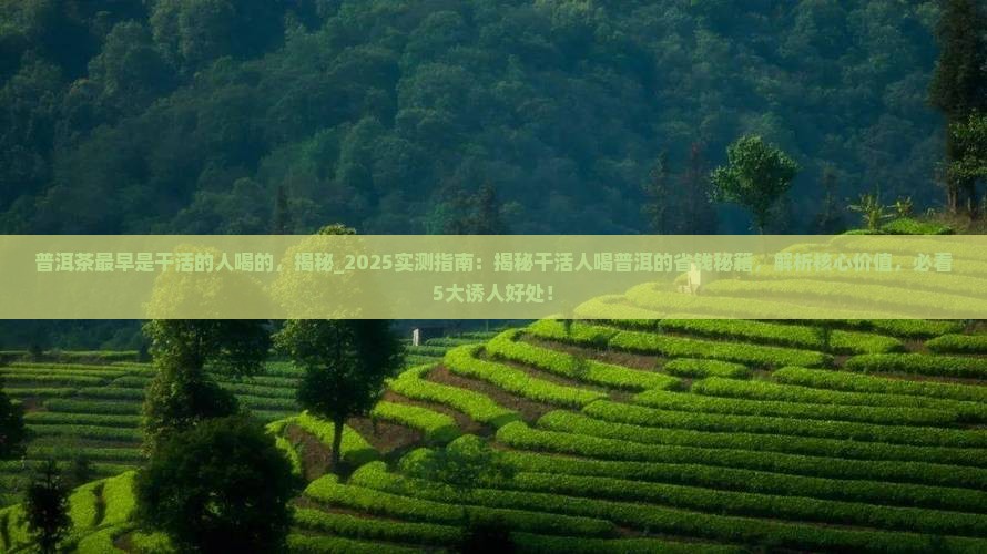 普洱茶最早是干活的人喝的