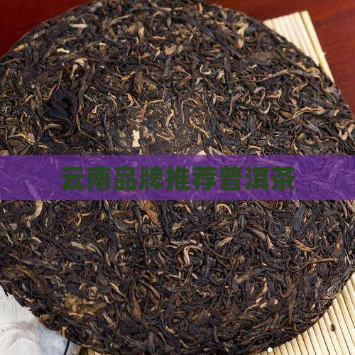 玉班坎推荐普洱茶