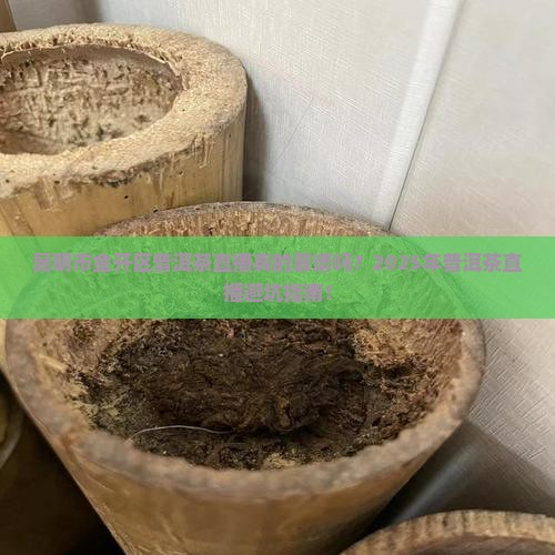 昆明市金开区普洱茶直播