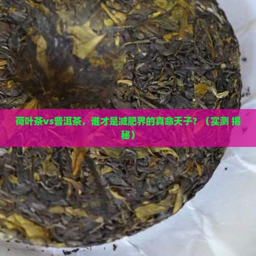 荷叶茶和普洱茶谁减肥好