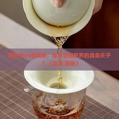荷叶茶和普洱茶谁减肥好