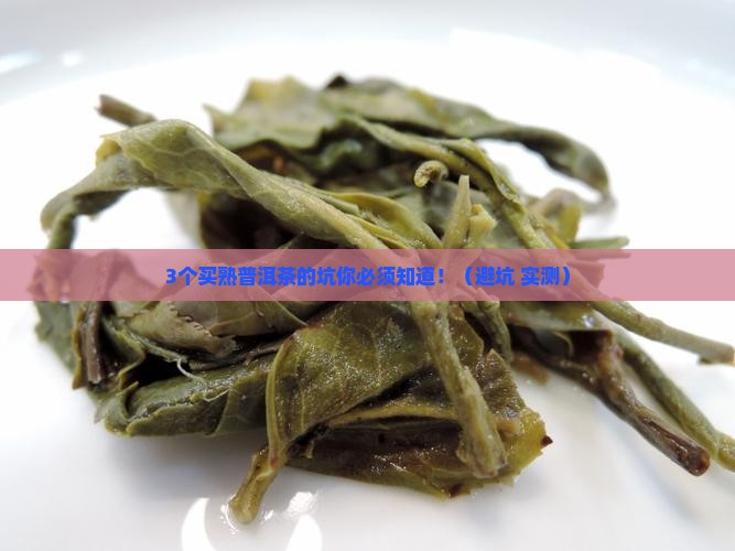 熟普洱茶哪里有卖